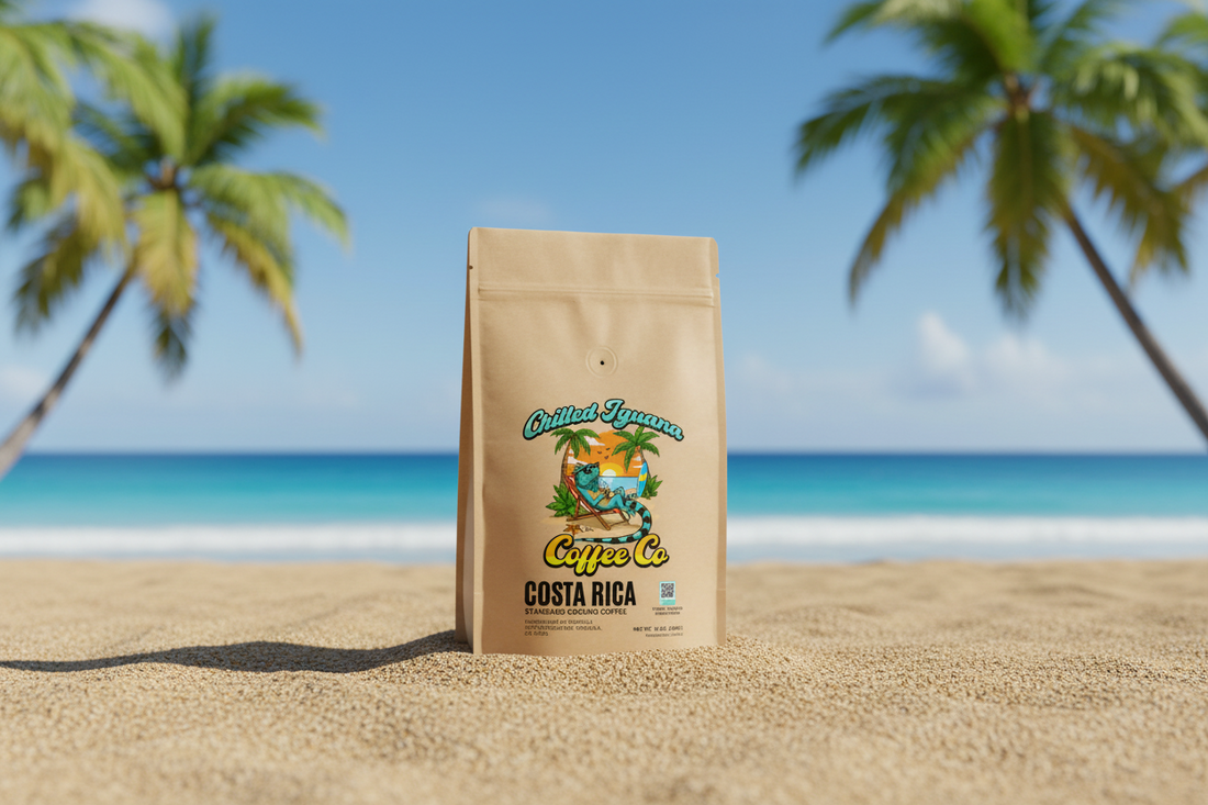 Best Coffee Beans for Travel Backpacks 2026